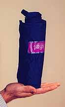 BackRest self-inflating Thermarest Lumbar Cushion