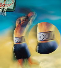 Zeuba Vital Back  Support