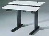 Duplex Rectilinear Table